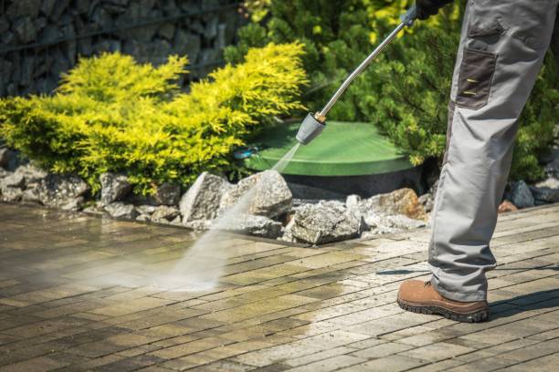 Best Sidewalk and Walkway Cleaning  in Richmond, MN